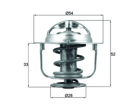 Thermostat, coolant