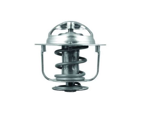 Thermostat, coolant, Image 2
