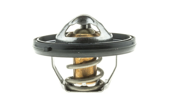 Thermostat, coolant, Image 2