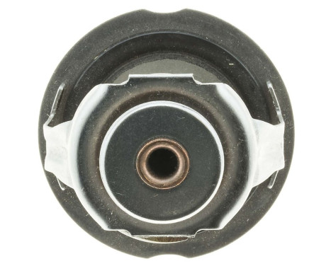 Thermostat, coolant, Image 2
