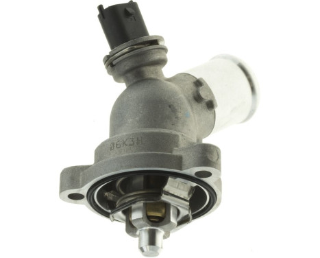 Thermostat, coolant