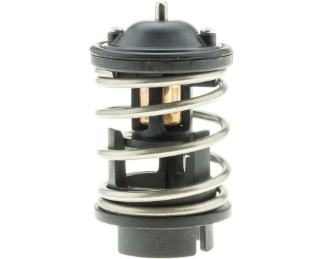 Thermostat, coolant, Image 3