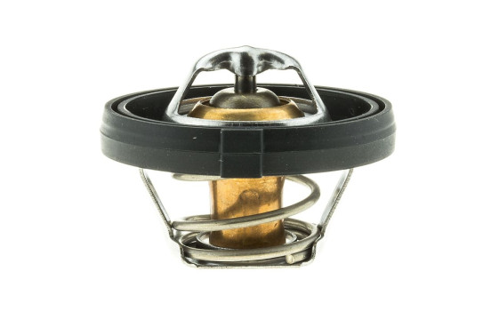 Thermostat, coolant, Image 3