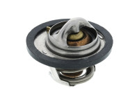 Thermostat, coolant