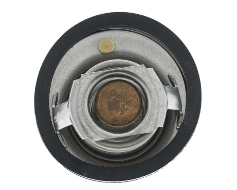 Thermostat, coolant, Image 2