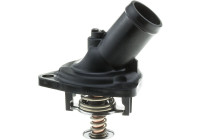 Thermostat, coolant