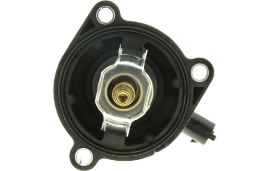 Thermostat, coolant, Image 2