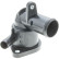 Thermostat, coolant