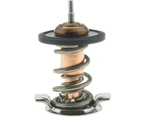 Thermostat, coolant, Image 3