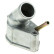 Thermostat, coolant