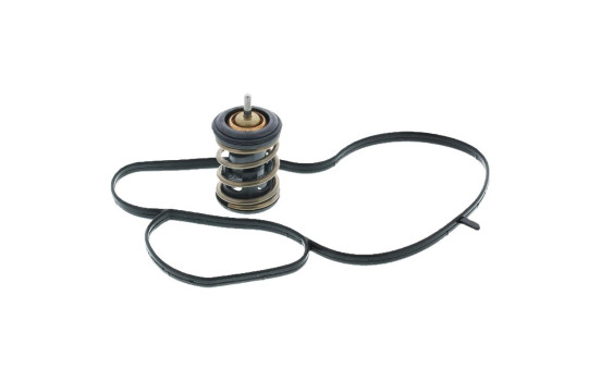 Thermostat, coolant, Image 2