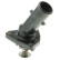 Thermostat, coolant