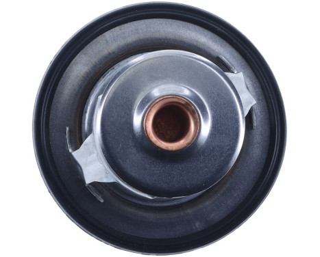 Thermostat, coolant, Image 2