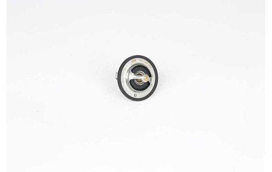 Thermostat, coolant, Image 2