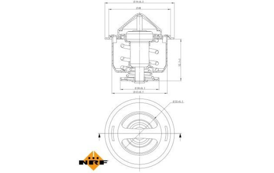 Thermostat, coolant