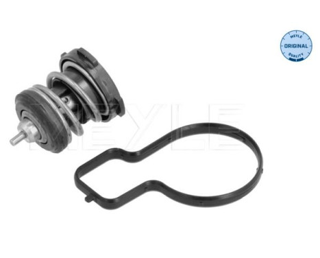 Thermostat, coolant
