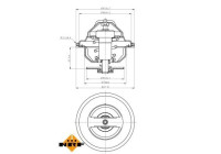 Thermostat, coolant