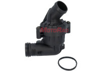 Thermostat, coolant