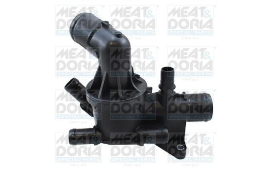 Thermostat, coolant