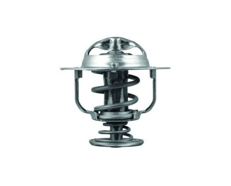 Thermostat, coolant, Image 2