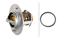 Thermostat, coolant