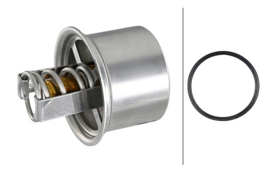 Thermostat, coolant