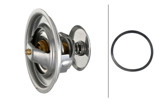 Thermostat, coolant