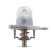 Thermostat, coolant, Thumbnail 7