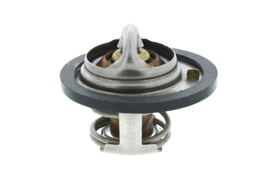 Thermostat, coolant, Image 6