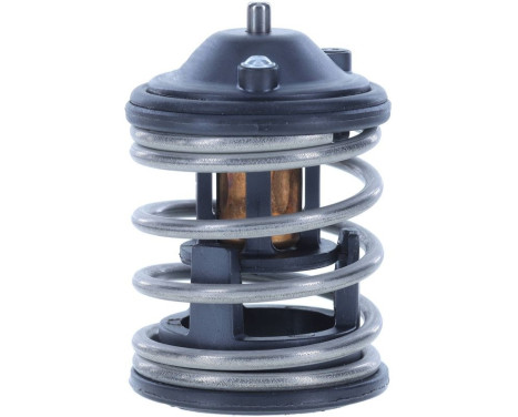 Thermostat, coolant, Image 5