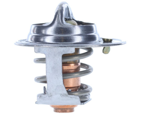 Thermostat, coolant, Image 6