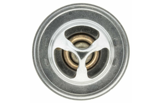 Thermostat, coolant, Image 4
