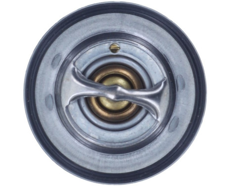 Thermostat, coolant, Image 4