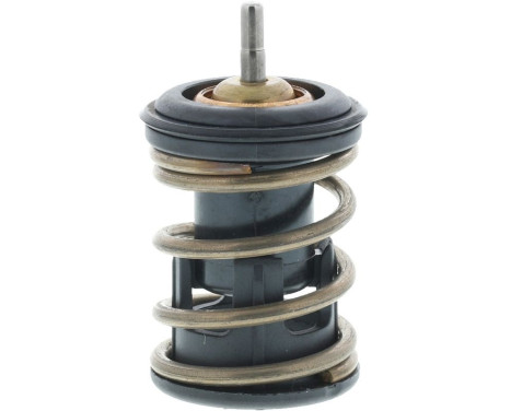 Thermostat, coolant, Image 5