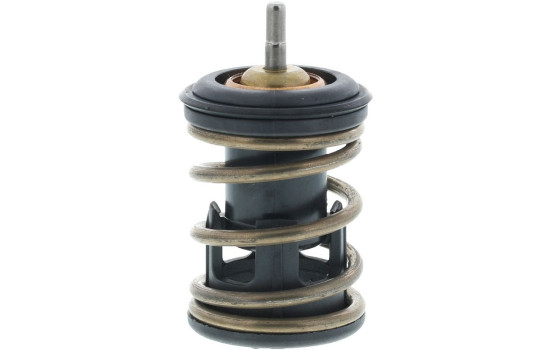 Thermostat, coolant, Image 6