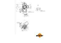 Thermostat, coolant