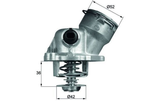Thermostat, coolant, Image 2