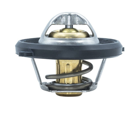 Thermostat, coolant, Image 2