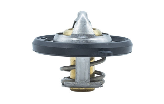 Thermostat, coolant, Image 5