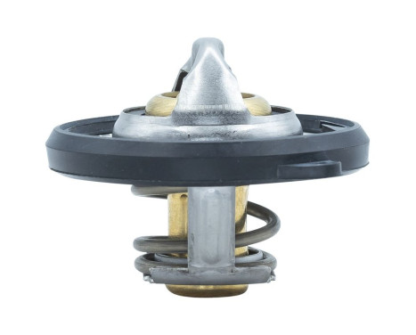 Thermostat, coolant, Image 6