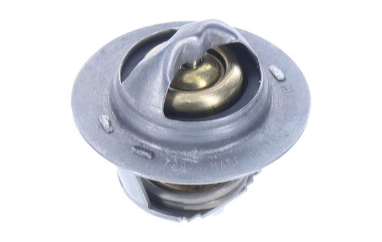 Thermostat, coolant, Image 2