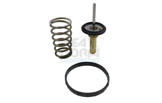 Thermostat, coolant