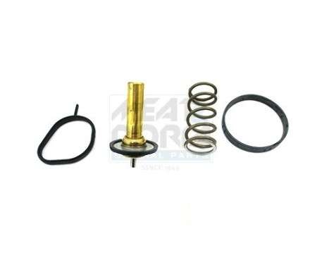 Thermostat, coolant