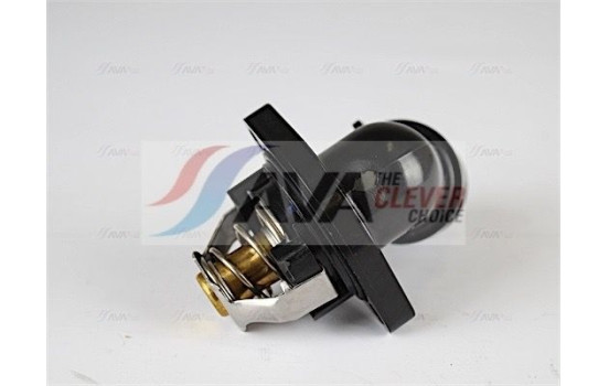 Thermostat, coolant
