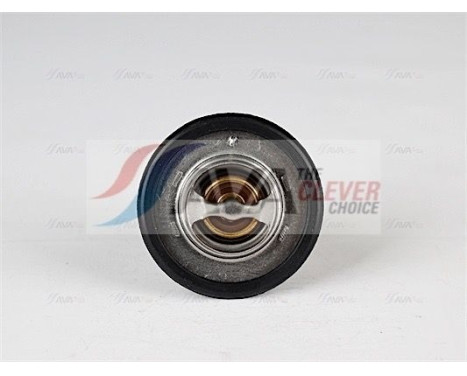 Thermostat, coolant, Image 3