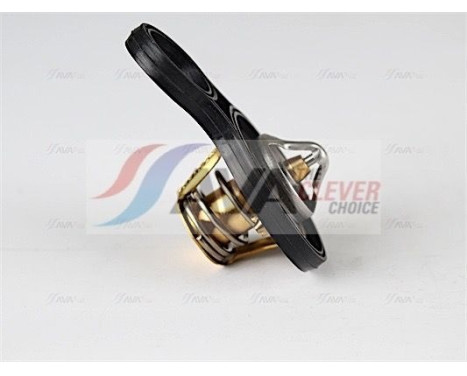 Thermostat, coolant, Image 2