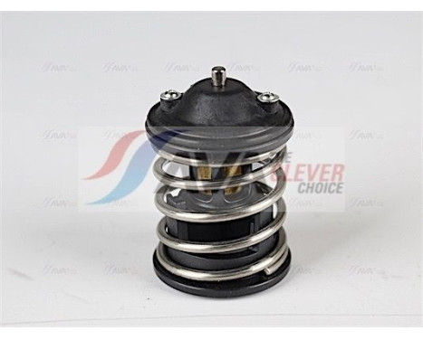 Thermostat, coolant, Image 4