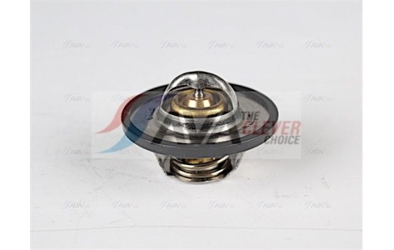 Thermostat, coolant, Image 5