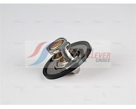 Thermostat, coolant, Image 2