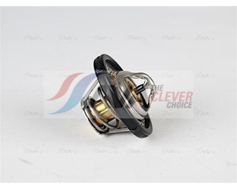 Thermostat, coolant, Image 2